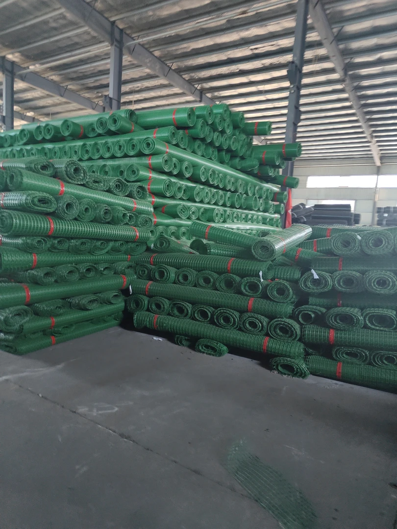 绿色土工格栅塑料网养鸡养鸭养鹅围栏网防护网漏粪网鱼塘果园护栏