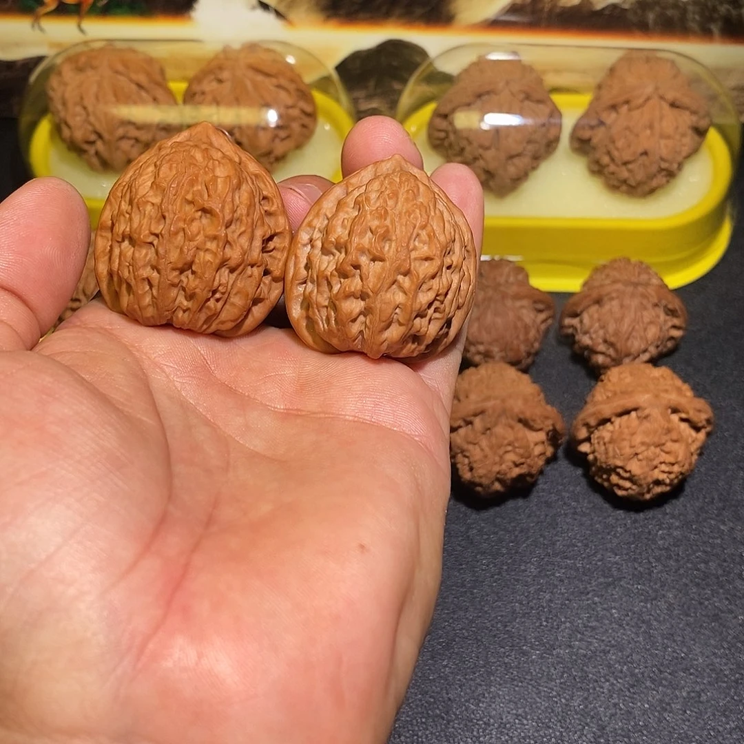 全品无修金牛35尺