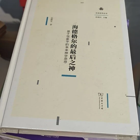 海德戈尔的最后之神精装塑封全新