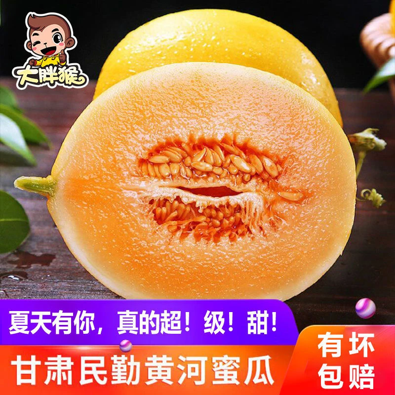 甘肃民勤沙漠蜜瓜 (3-4斤/8-9斤装)金红宝沙漠蜜瓜