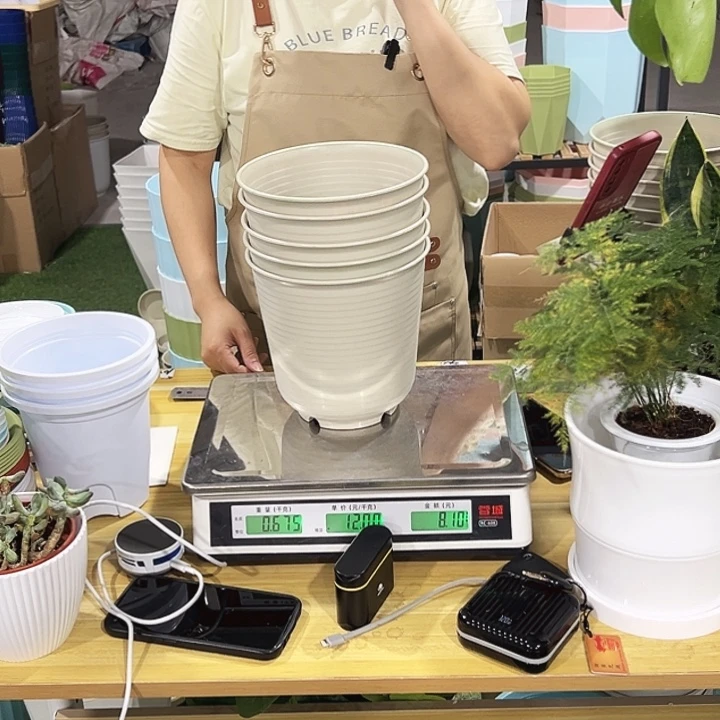 高陶口18高18米色无托5只