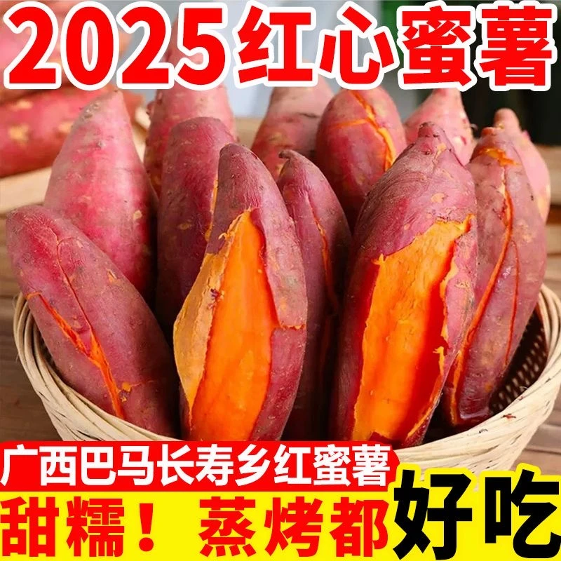 正宗沙地西瓜红蜜薯自家种地瓜粉糯香甜红心番薯5/9斤【坏果包赔】