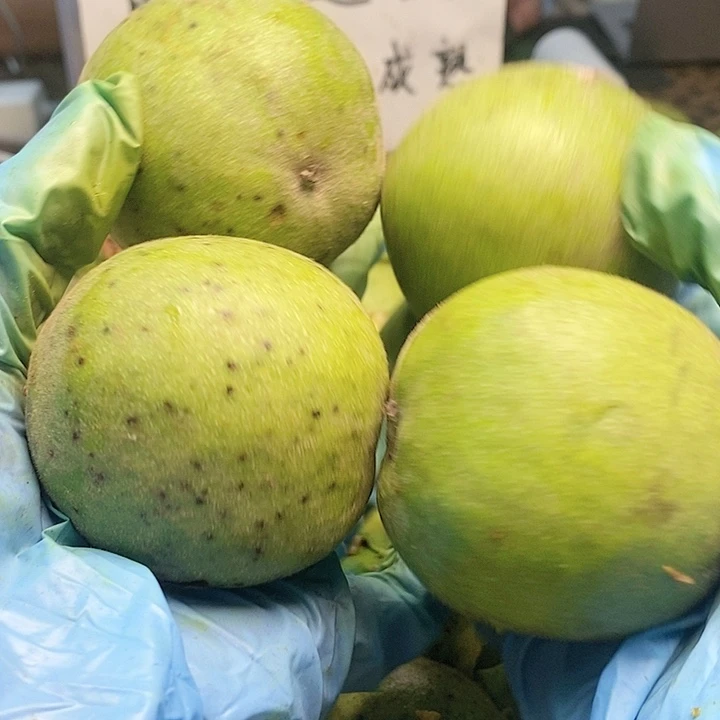 吊坠文玩核桃保熟不保对