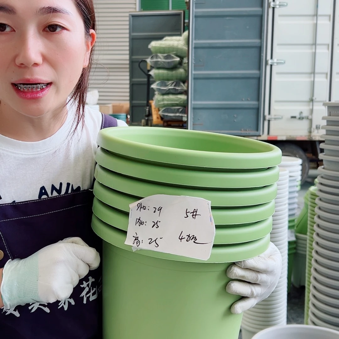 四季盆5#果绿6个无托