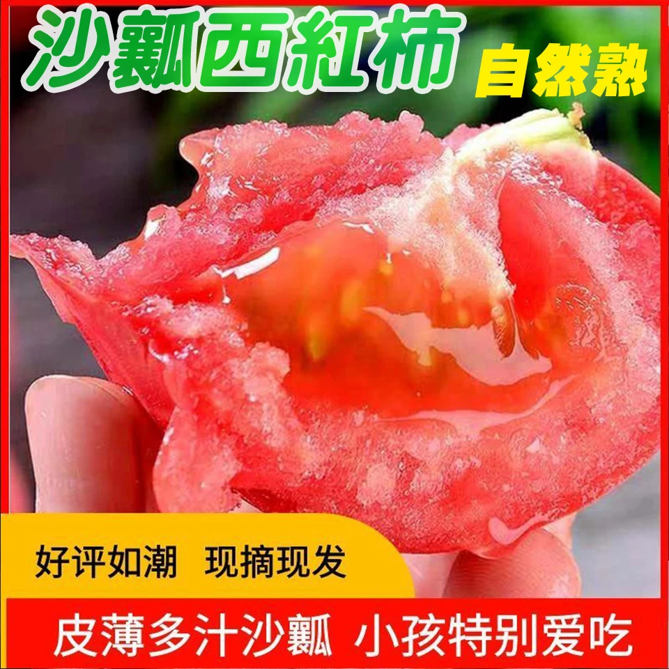 【净重5斤】甘肃沙瓤西红柿生吃更美味农家番茄新鲜采摘