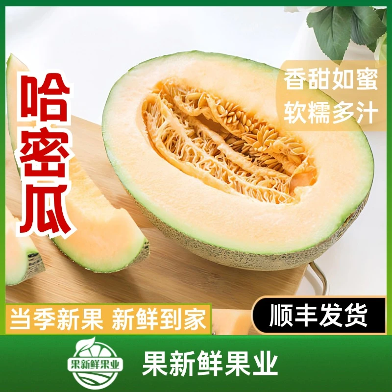 【小蜜瓜哈密瓜】（2粒 约4.5斤）香甜如蜜软糯多汁新鲜应季顺丰包邮送货上门