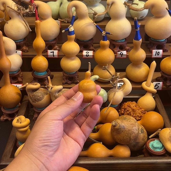 人***天哈哈哈哈哈这好玩又好玩哈哈哈