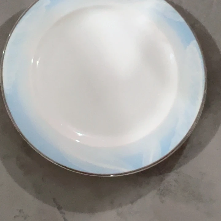 减***除45%以上骨粉骨瓷蓝羽毛10寸牛排盘2个