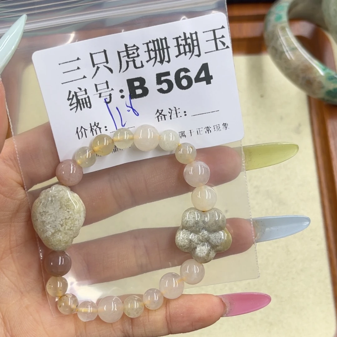 丫***3硅化珊瑚（珊瑚玉）h未镶嵌