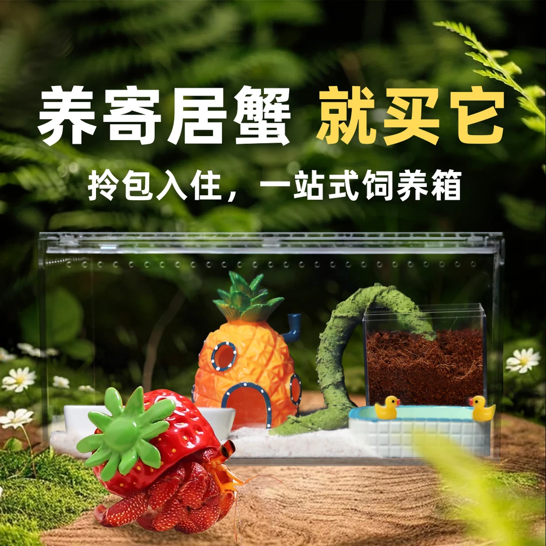 寄居蟹新手饲养套餐 高透一体式亚克力饲养箱 不漏沙风格化造景箱