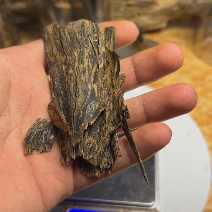 沉香沉香碎屑高油皮油14克