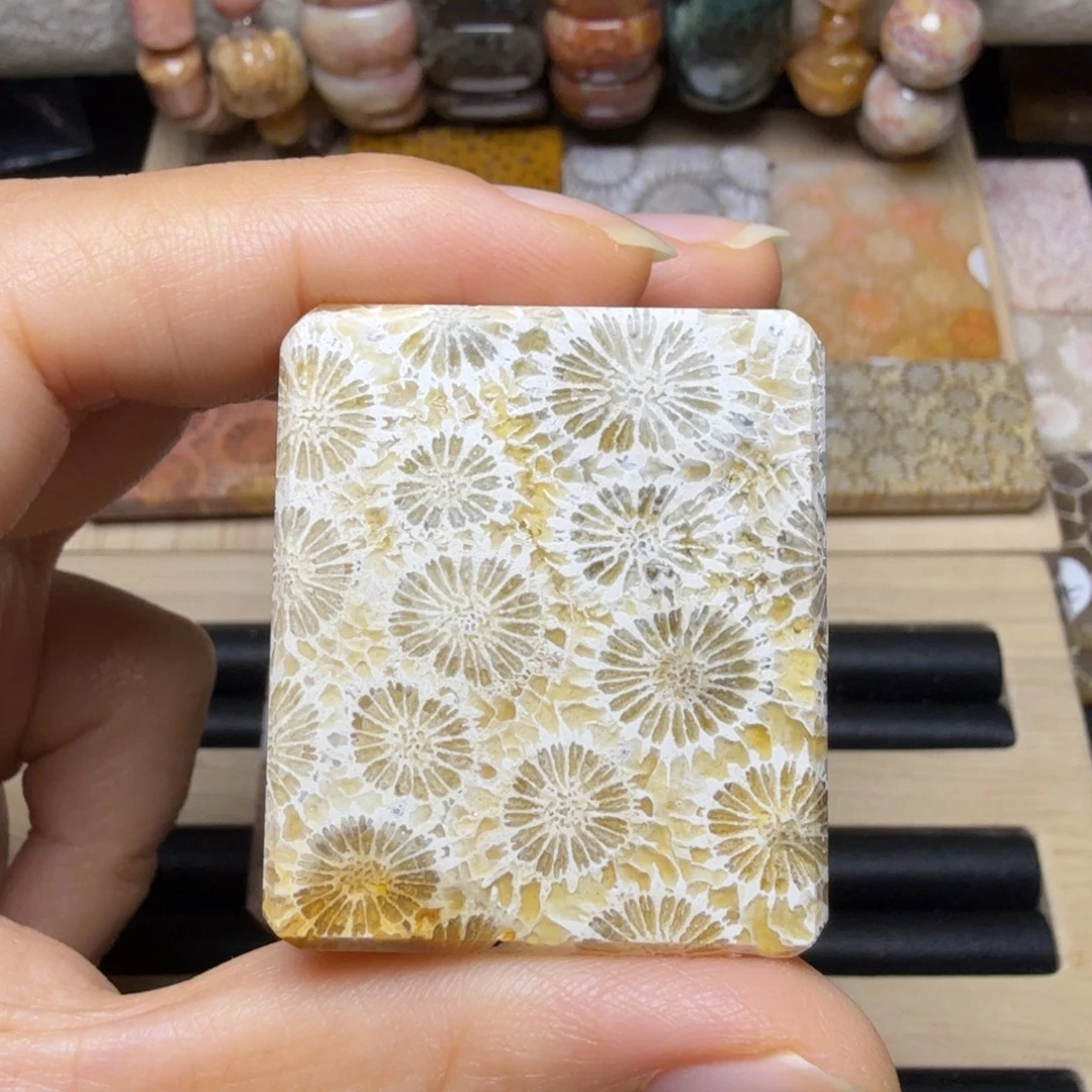 硅化玉未镶嵌胖胖的透光雏菊花