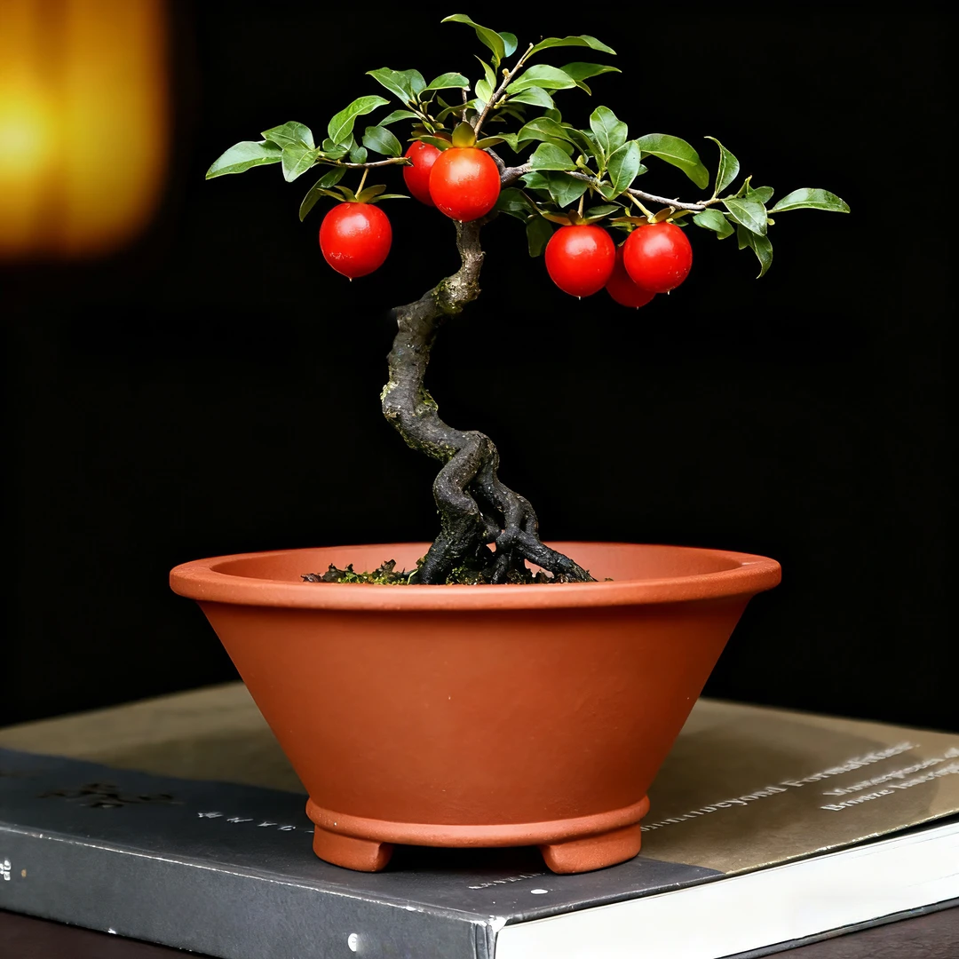 宜兴紫砂花盆圆形斗笠盆景盆金弹子黄杨老桩盆多肉云竹绿植盆栽盆