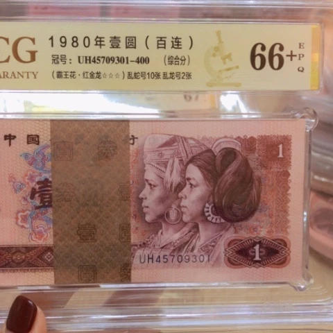 塑料45709301红金龙——————