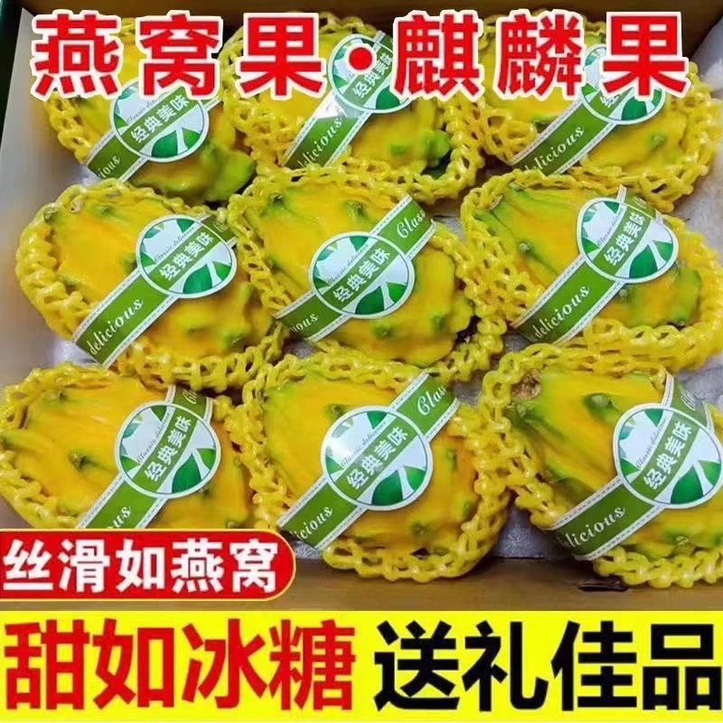 新鲜燕窝果大果特大号海南燕窝果麒麟果黄皮火龙果高档当季孕妇