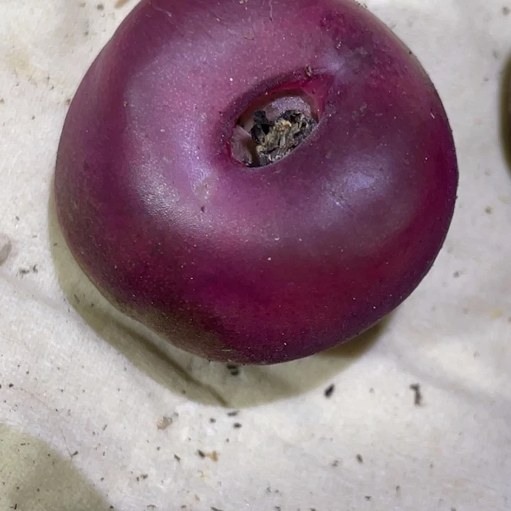 48899888888855888888875