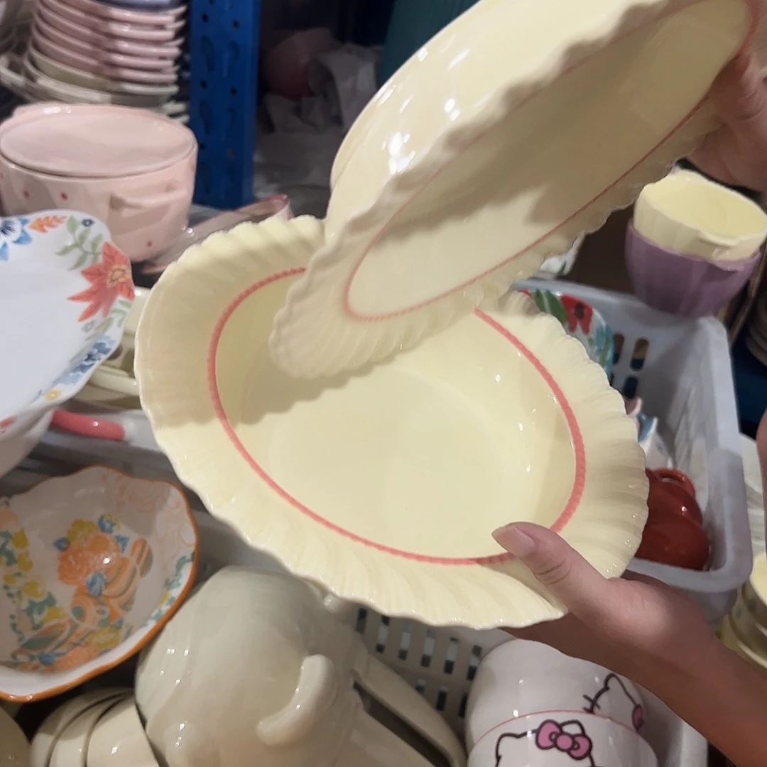 瓷片红边8寸盘两个