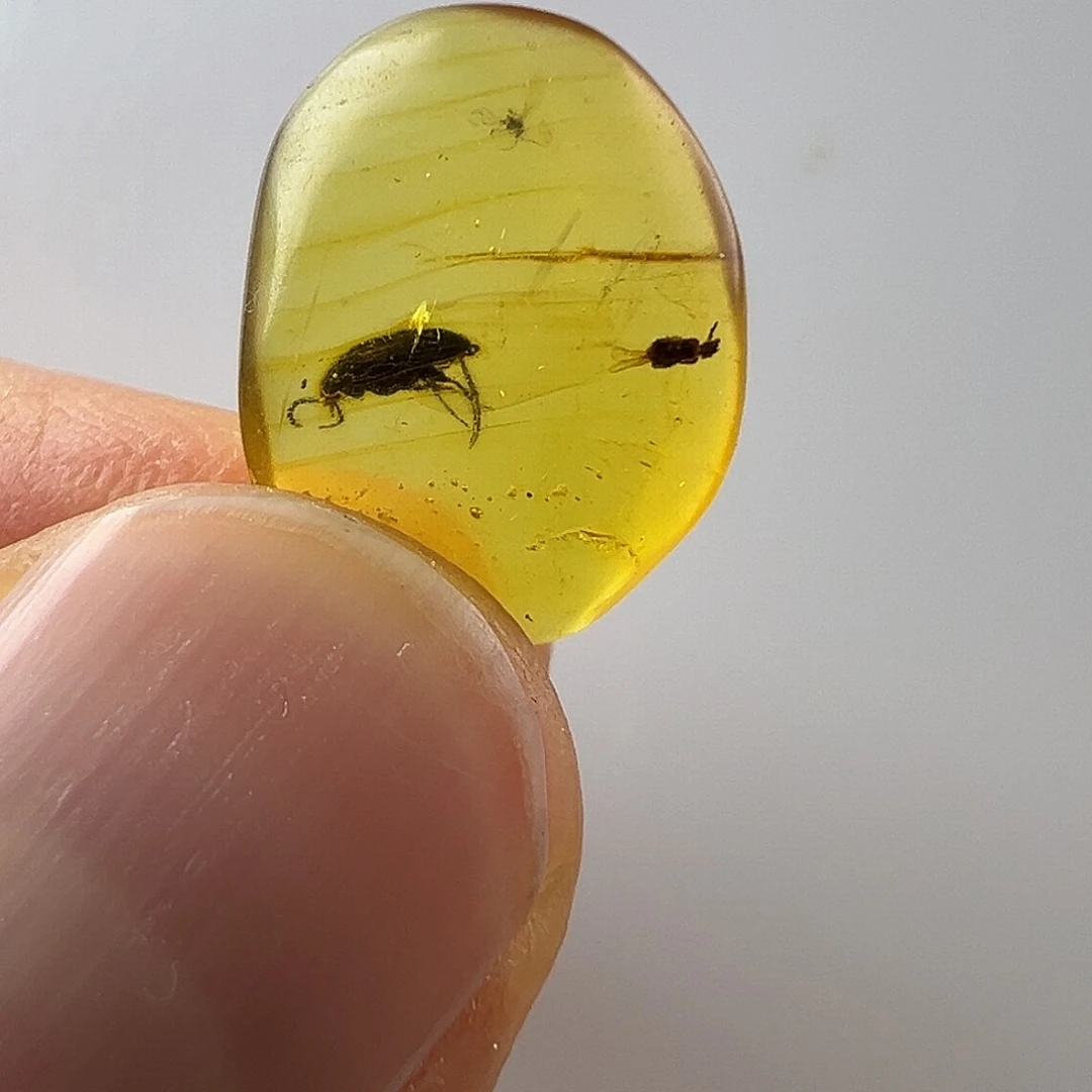 琥珀裸石未镶嵌琥珀虫珀