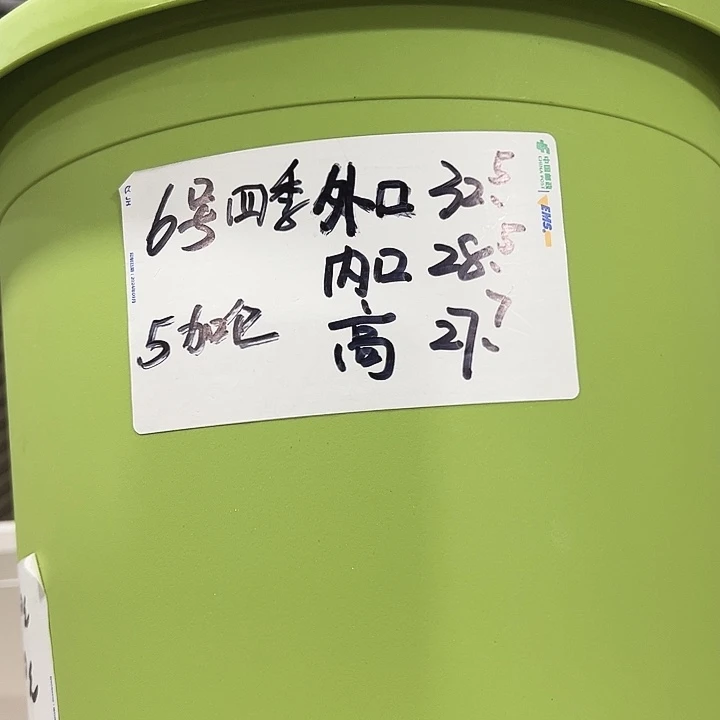 四季6号特价果绿色5个无托