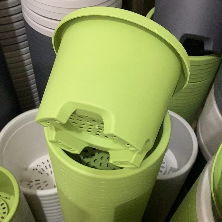 球根口17高12果绿5个