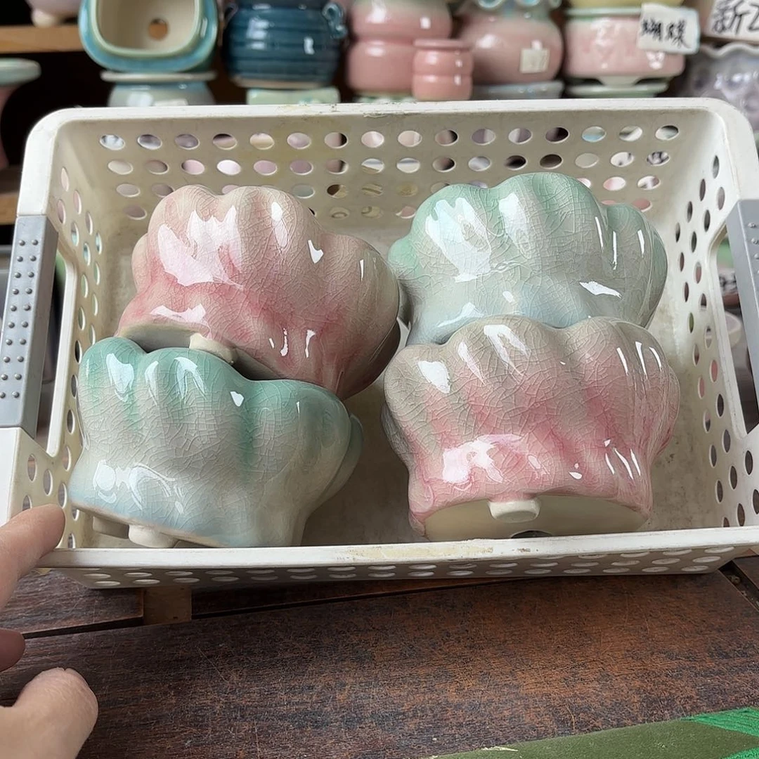 量货/8口高6深浅搭配发4福利