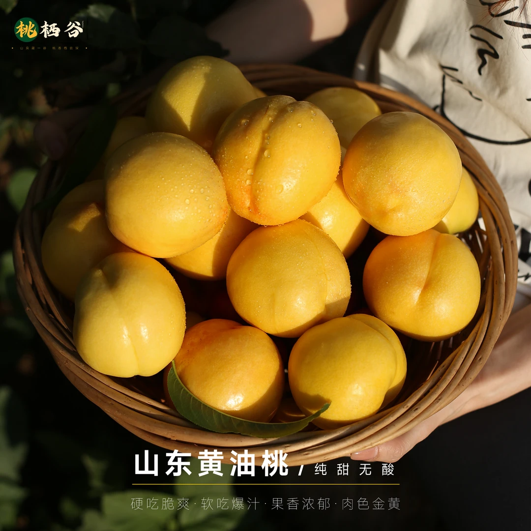 《顺丰包邮》山东蒙阴黄金油桃新鲜脆甜多汁当季水果果园低脂水果