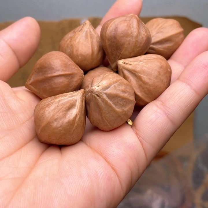 橄榄核手串/手链摩****人橄榄核油核2.4左右蒜头