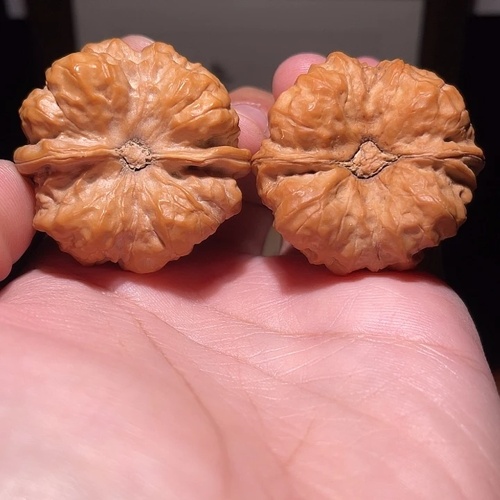 手串/手链核桃42×42