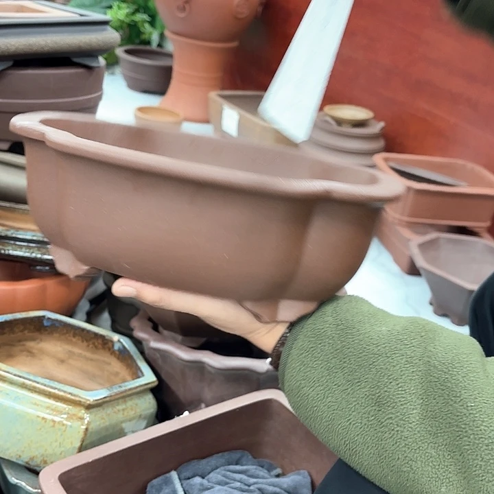 紫砂花盆紫砂的颜色很好看呀