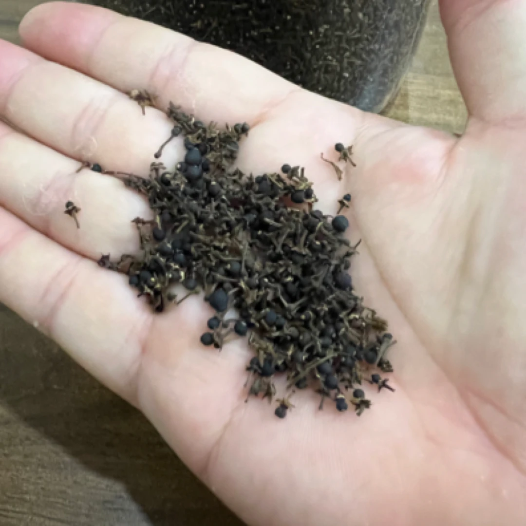 天马产区2020火柴头小柑胎 带花蜜香干仓品质