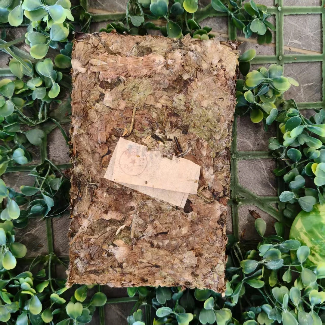 雨腾核心班 W限”凤羽之L”200g/砖 (7月18)