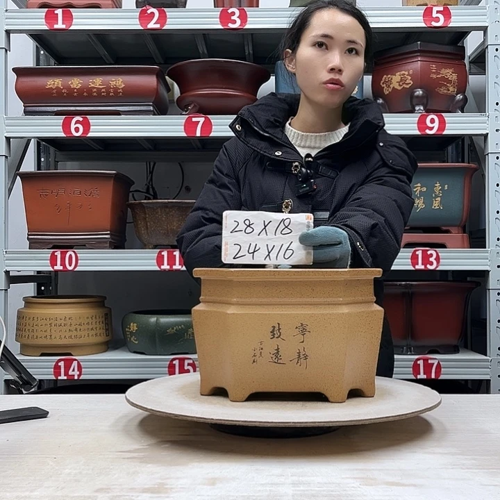 紫砂花盆紫砂花盆