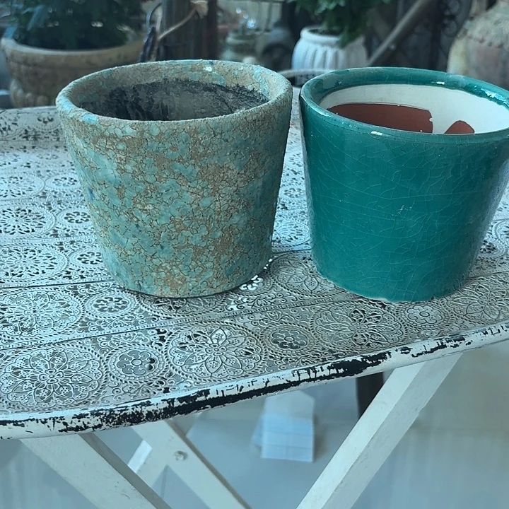 许纯的花房 孤品847