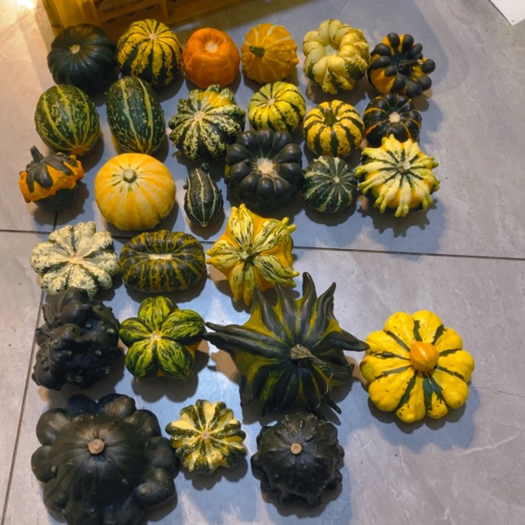 【闪购商品】那****吧哈哈哈哈哈哈哈哈