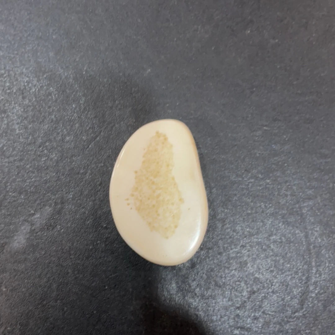 猛犸虬约28.3克饼子配饰TD407