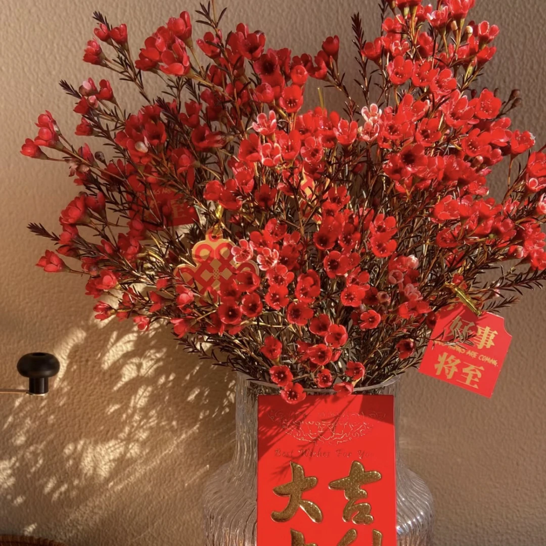 两单包邮！腊梅1把(20%不售后）