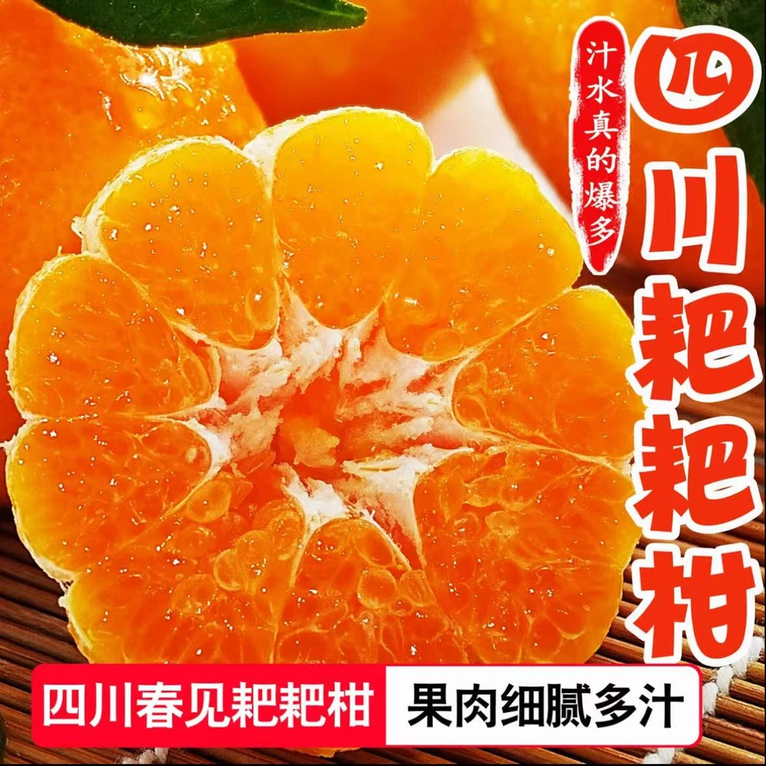 正宗四川耙耙柑眉山2斤/4.5-8斤新鲜当季水果春见橘爆汁耙耙柑