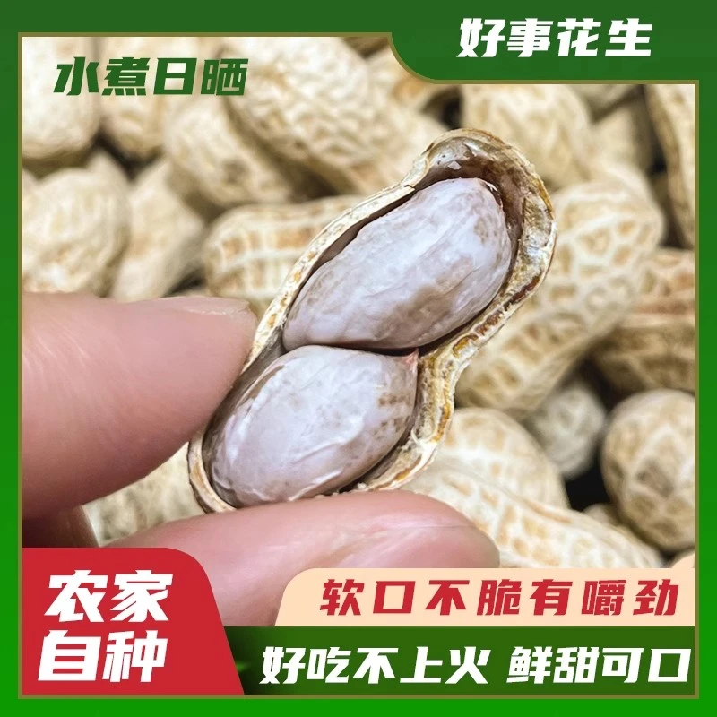 农家新挖水煮花生咸干