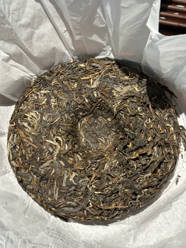 2024年三叉箐古树挑采二春