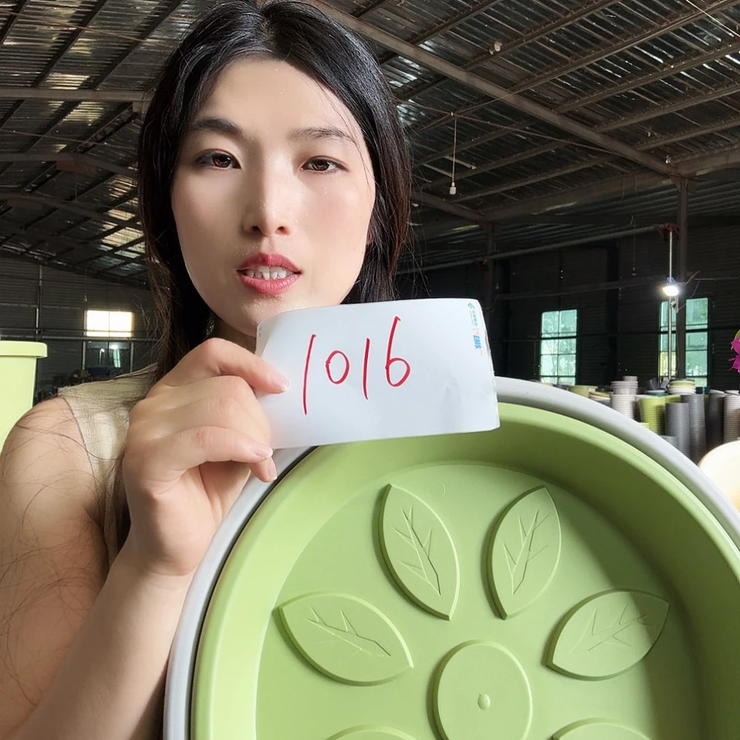 编号1016编号1016