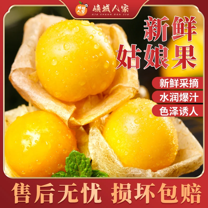 【峡城人家】云南新鲜菇娘果灯笼果