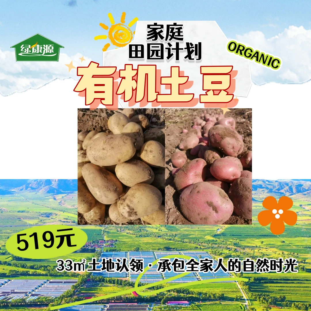 内蒙古大草原上的有机土豆