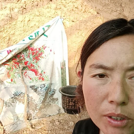 M***s完全开放文冠树一颗