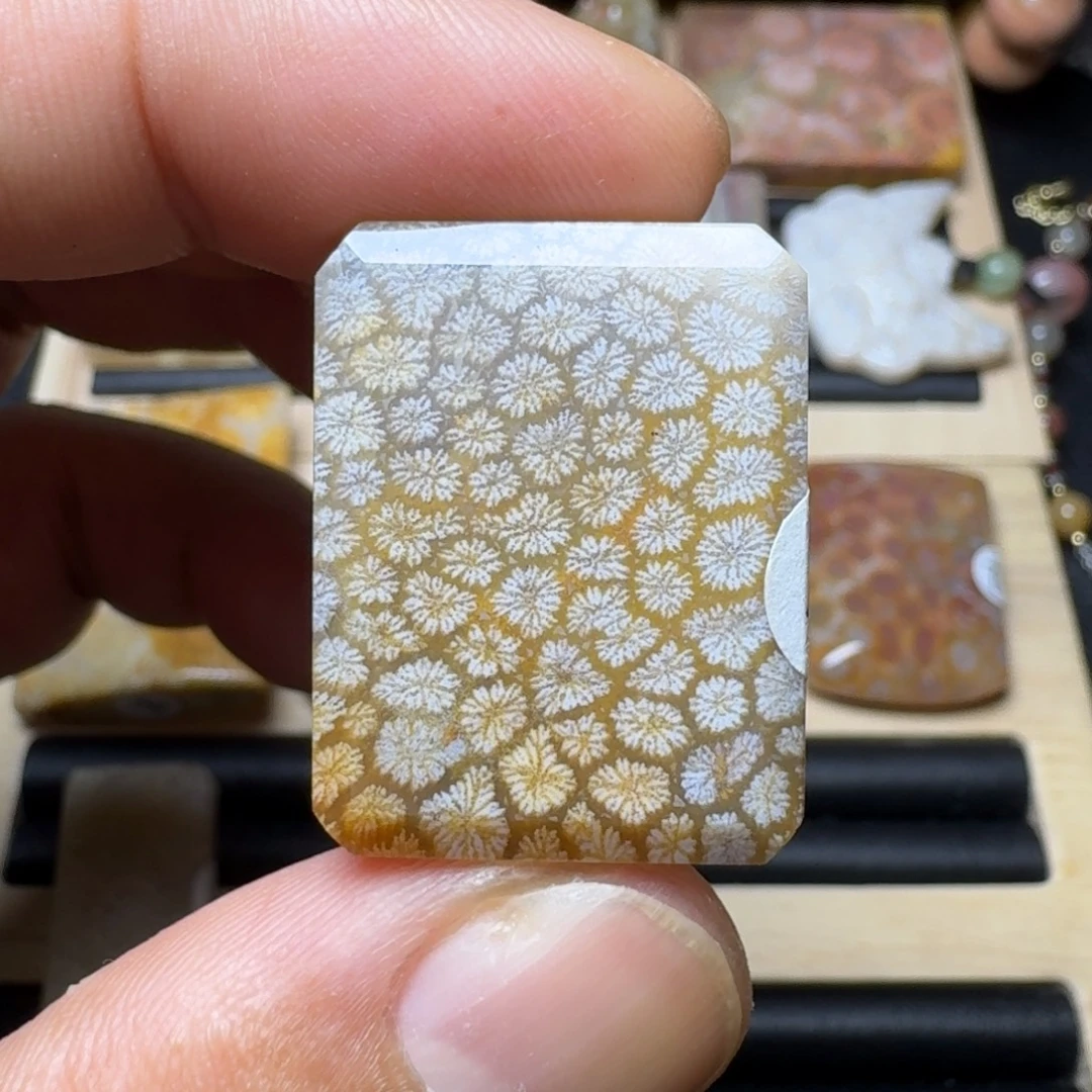 硅化玉未镶嵌纯天然色有机玉石保真色