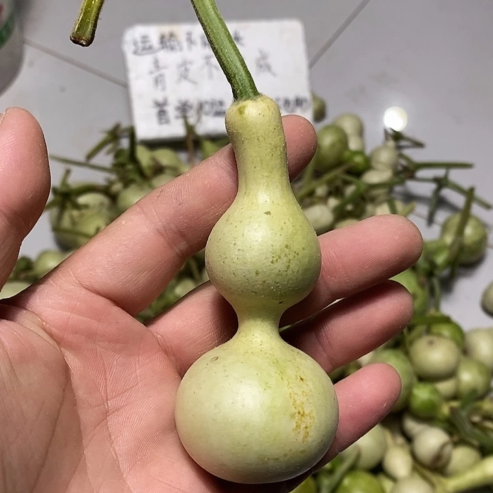 副****）长嘴哈哈哈哈哈哈恍恍惚惚我