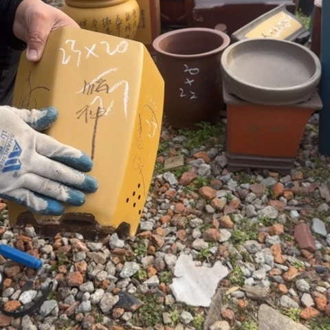 红陶紫砂花盆盆景盆栽