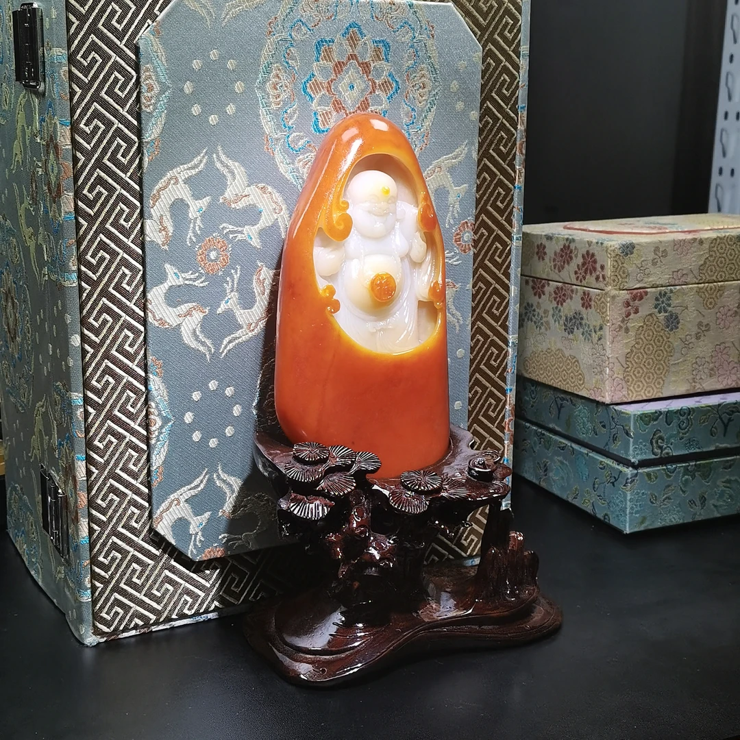 石包多样性拍一发一11月18日 A7