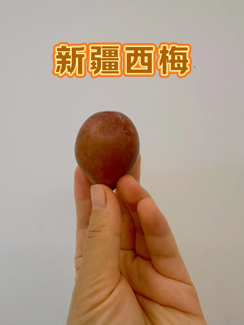 新疆新鲜应季西梅京东包邮酸甜可口孕妇水果