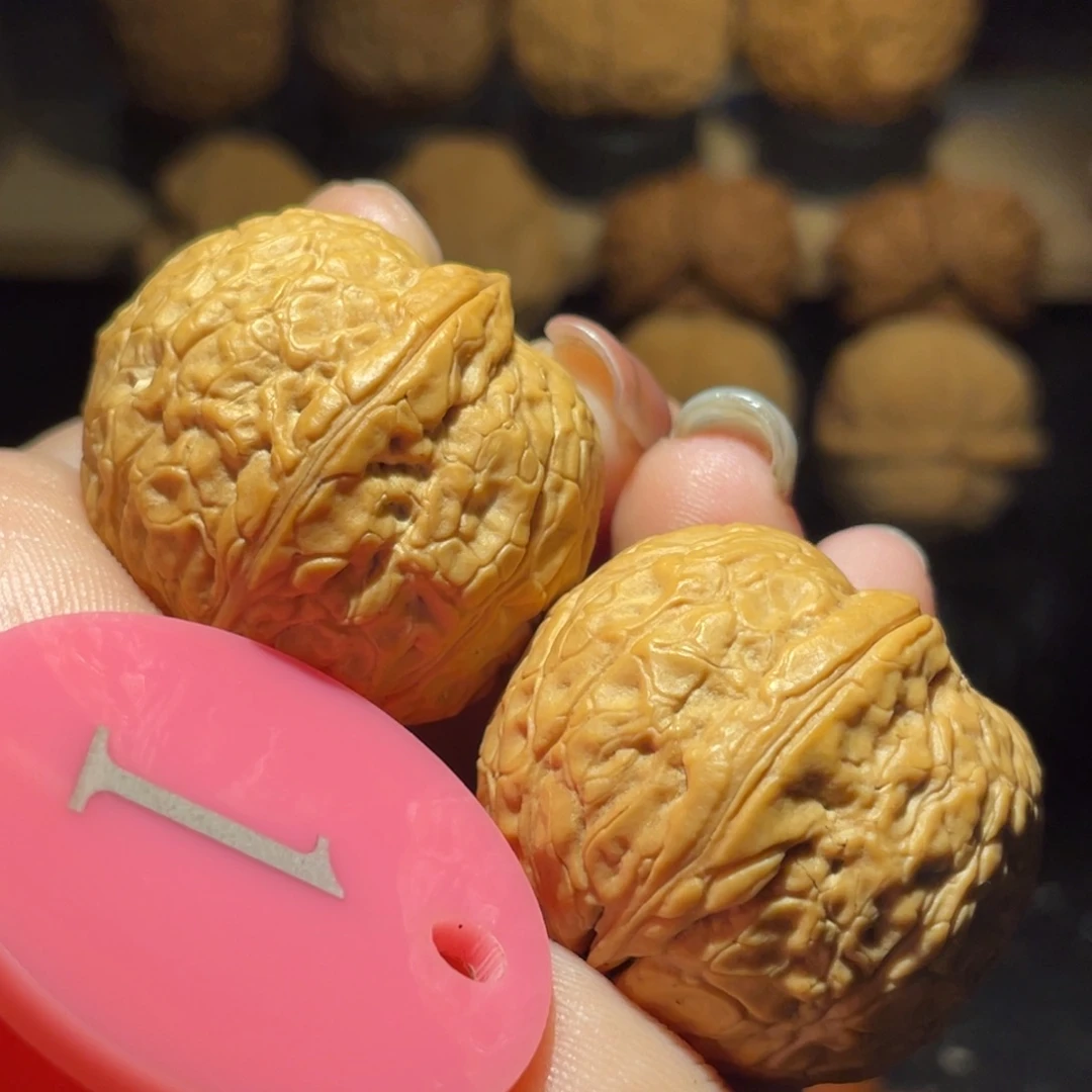 粗筋蛇皮元宝32尺寸