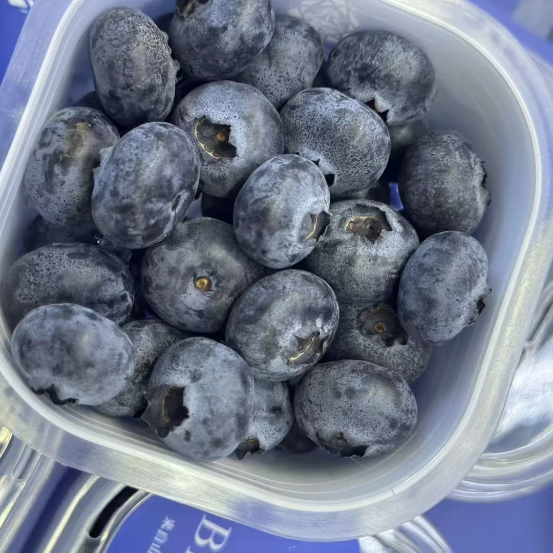 【直播浮力】15mm+云南高山蓝莓脆甜鲜果蓝莓100g/杯顺丰包邮